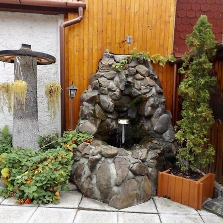 Tulipan Panzio Bed & Breakfast Sfântu Gheorghe Bagian luar foto