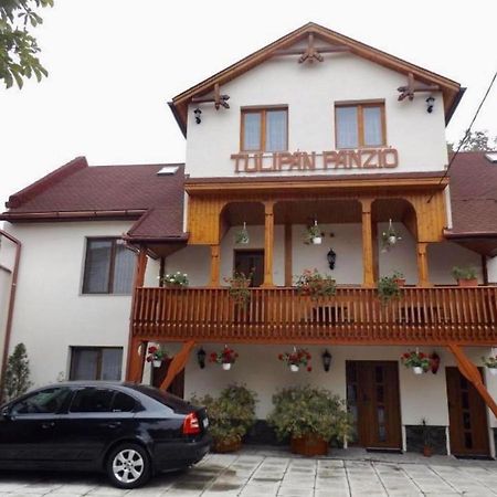 Tulipan Panzio Bed & Breakfast Sfântu Gheorghe Bagian luar foto