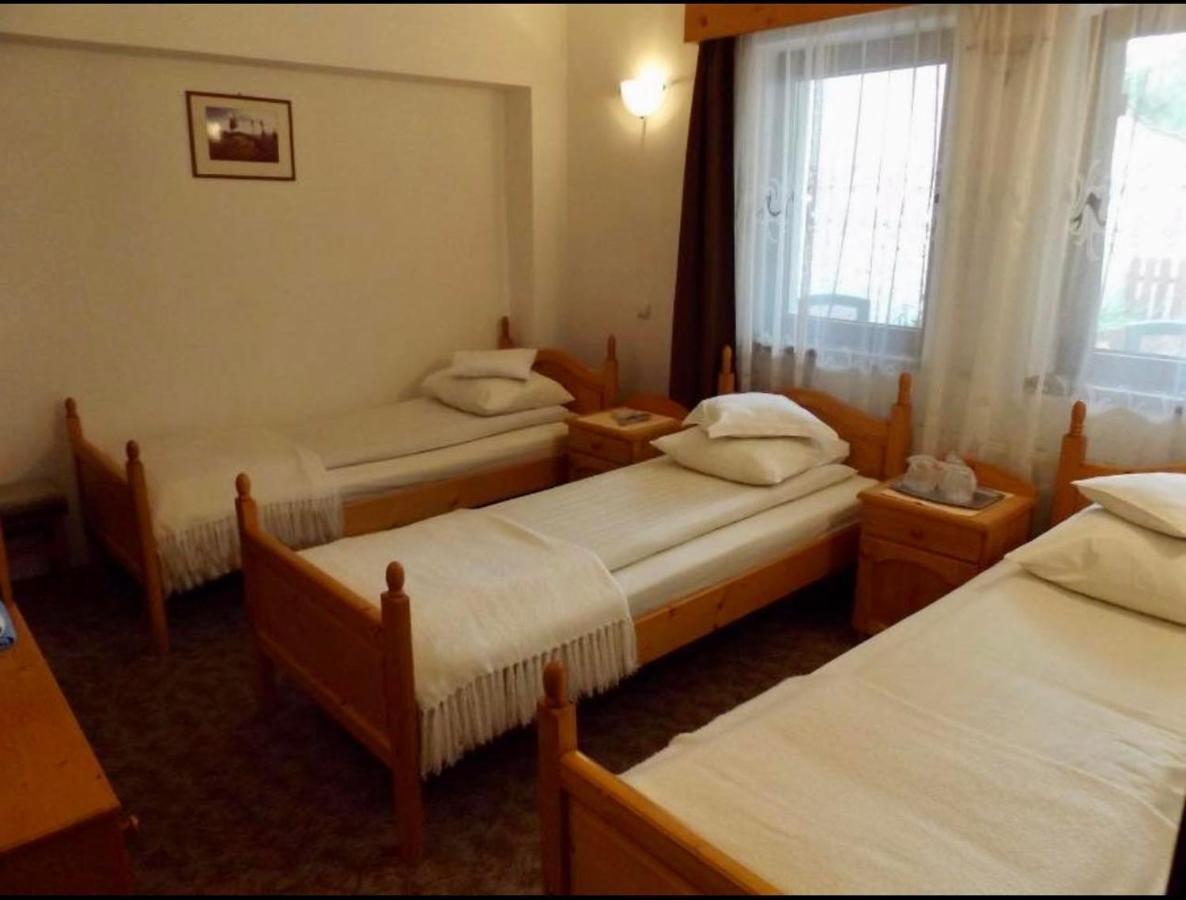 Tulipan Panzio Bed & Breakfast Sfântu Gheorghe Bagian luar foto