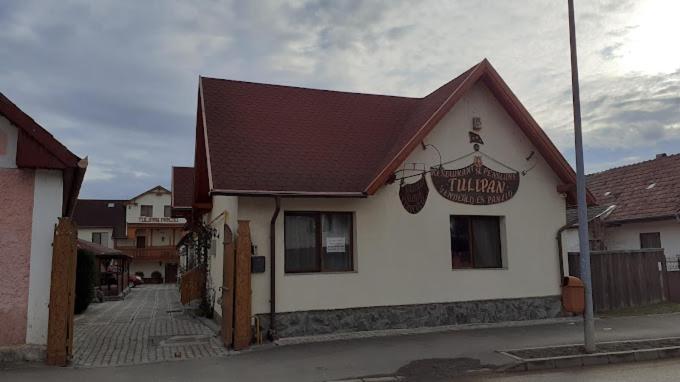 Tulipan Panzio Bed & Breakfast Sfântu Gheorghe Bagian luar foto